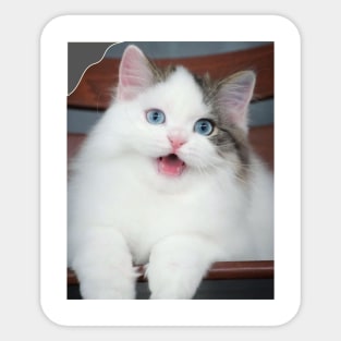 the blue eyes cats Sticker